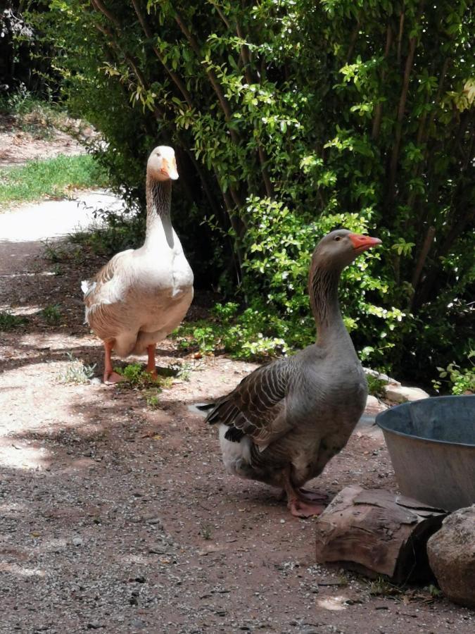 Les Anes De Petit Jean Hotel Pierrefeu-du-Var Luaran gambar