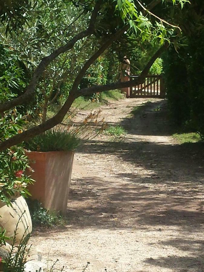 Les Anes De Petit Jean Hotel Pierrefeu-du-Var Luaran gambar