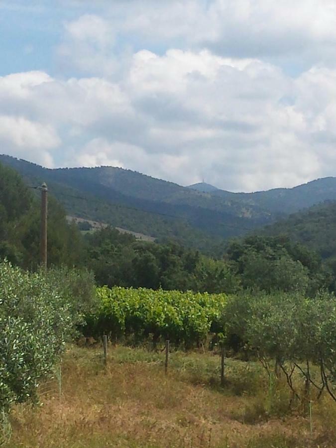 Les Anes De Petit Jean Hotel Pierrefeu-du-Var Luaran gambar